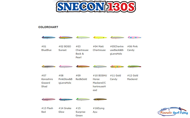 SNECON 16