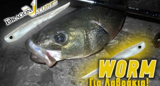 ANOIGMA V LURES WORM 325x176 c