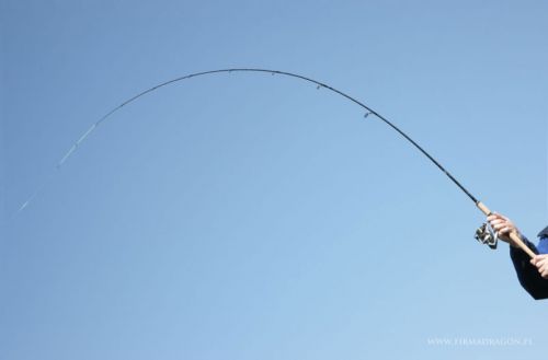 thumb_fishmaker-produkt-miesiaca01