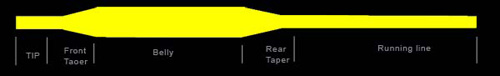 fly-line-taper