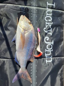 284656297_606477020361351_6395713989969310714_n9