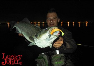 BASARA-3D-SOFT-SEABASS