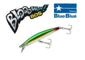 Blooowin80S_logo