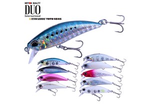 DUO-TETRA-WORKS-TOTO-48HS