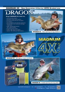 Dragon-Magnum-4X-braids-(English)