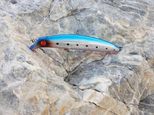 Fortuna-Salti-FS-62_B