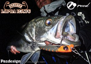 LAB-RA-125SFG-open-3