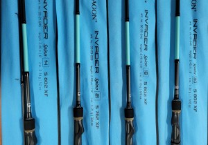 dragon-invader-spinn-13