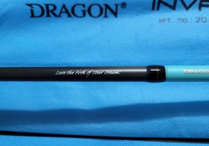 dragon-invader-spinn-8