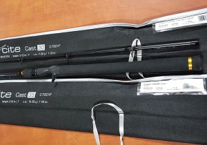 dragon_excite_cast_4