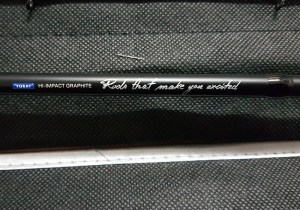 dragon_excite_cast_6