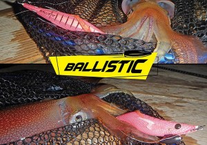 dtd-ballistic-egi-2