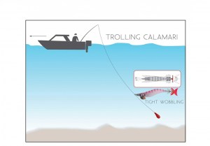 dtd-panic-egi-fishing-2