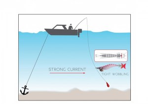 dtd-panic-egi-fishing-3