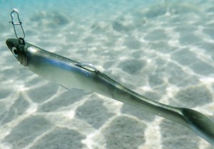 dtd-panic-shad-120-combo-3