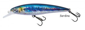 dtd-realistic-fish-sardina