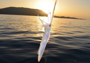 dtd-silicone-gavun-3