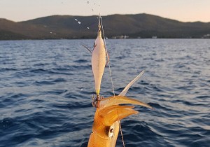 dtd-white-killer-buvka-4