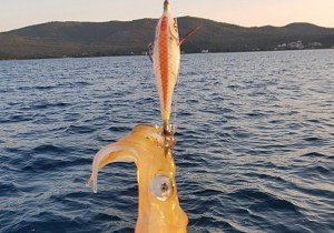 dtd-white-killer-buvka-5