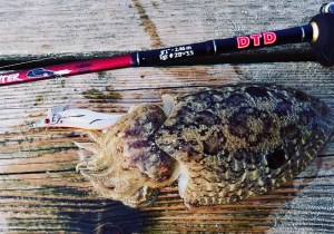 dtd-white-killer-egi-2