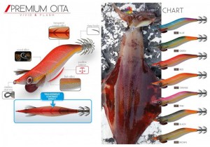 egi_premium_oita_dtd