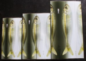 jigskinz_cigar-minnow