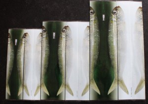 jigskinz_sardines-small