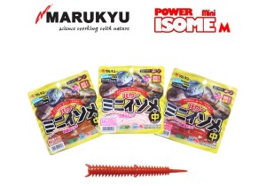 powerisomeminim-800x560