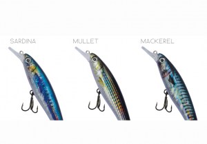 realistic-fish-grupa-colors