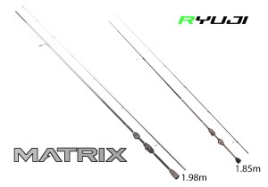 ryuji-matrix-fuji