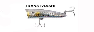 ryuji-sea-popper-7cm-8.5gr-top-water-trans-iwashi