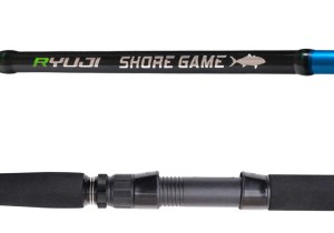 ryuji-shore-game-fuji-4